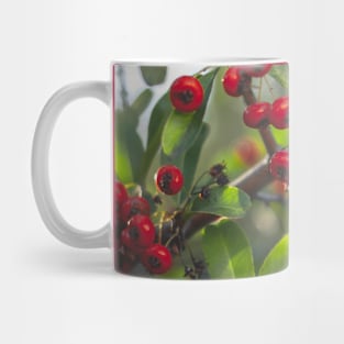 Berries Mug